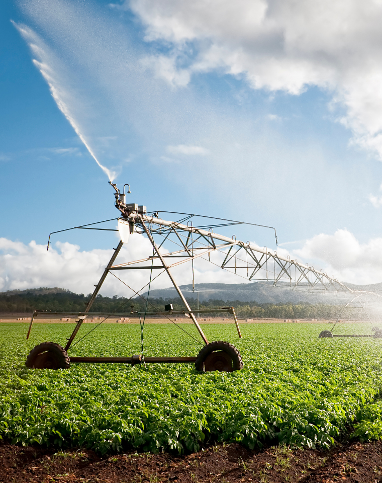 New South Wales | Rural | H2/25