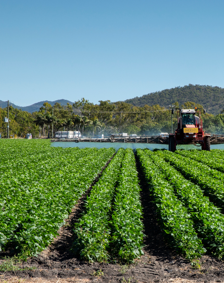 Queensland | Rural | H2/25