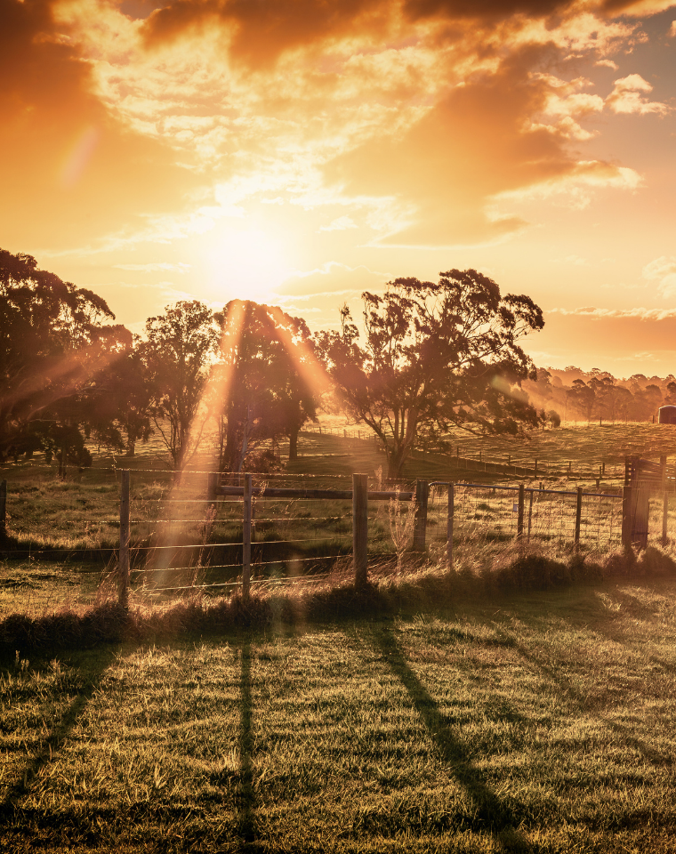 Victoria | Rural | H2/25