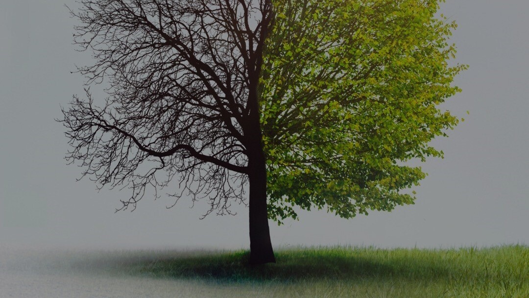 The Seasons of Real Estate – What Season Are You In?