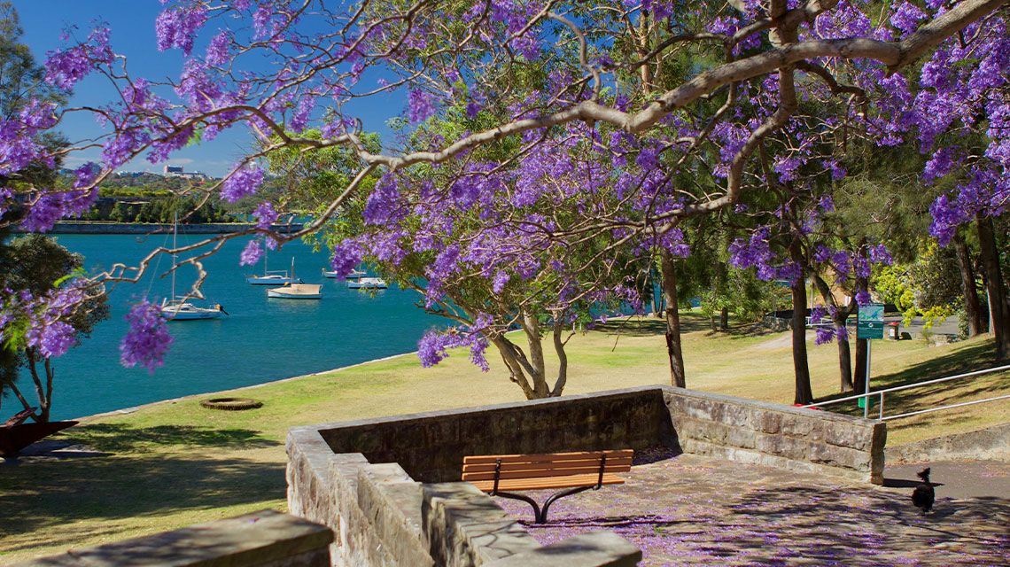 Primary photo of Balmain