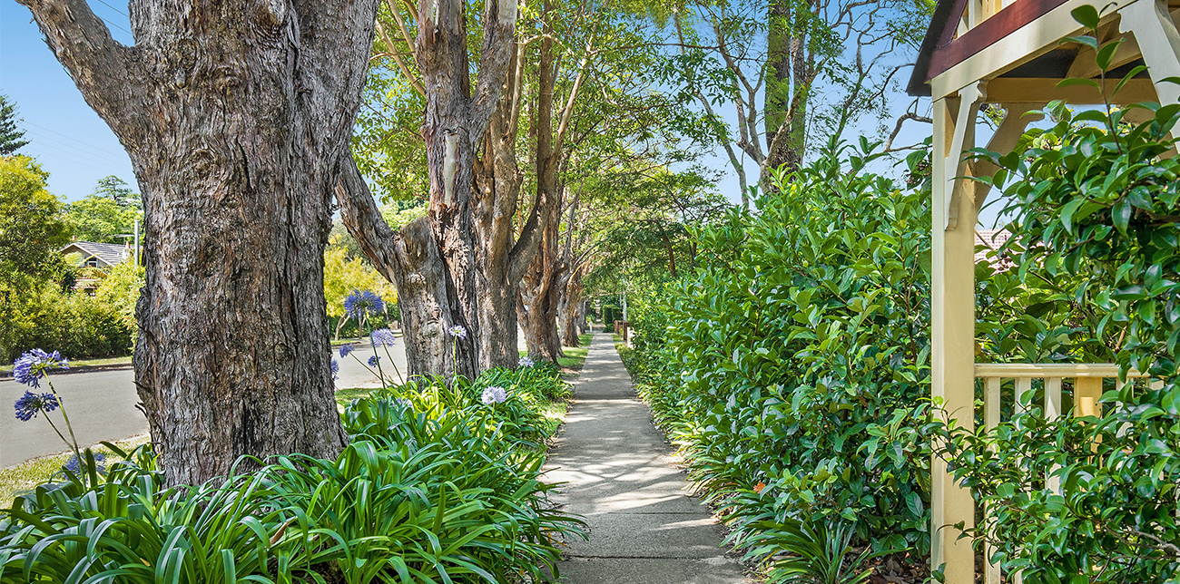 Primary photo of Beecroft