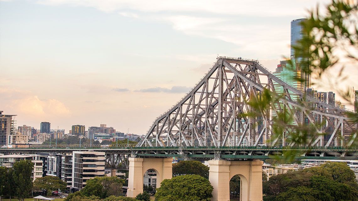 Primary photo of New Farm