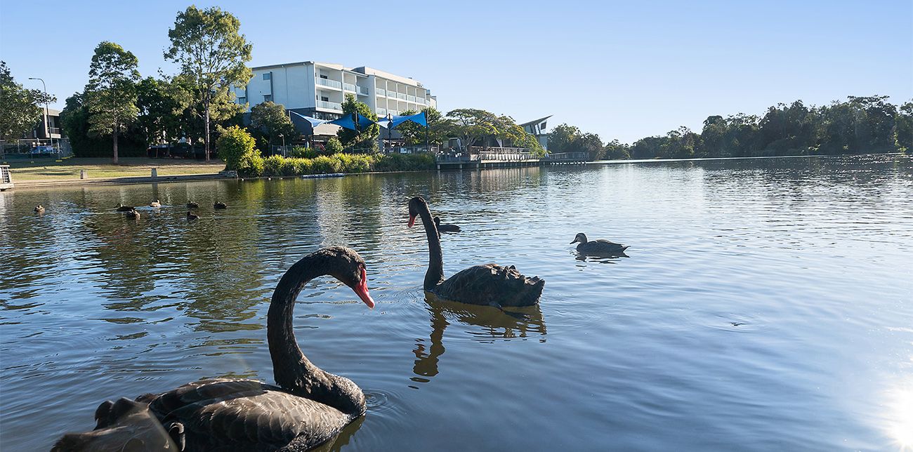 Primary photo of North Lakes