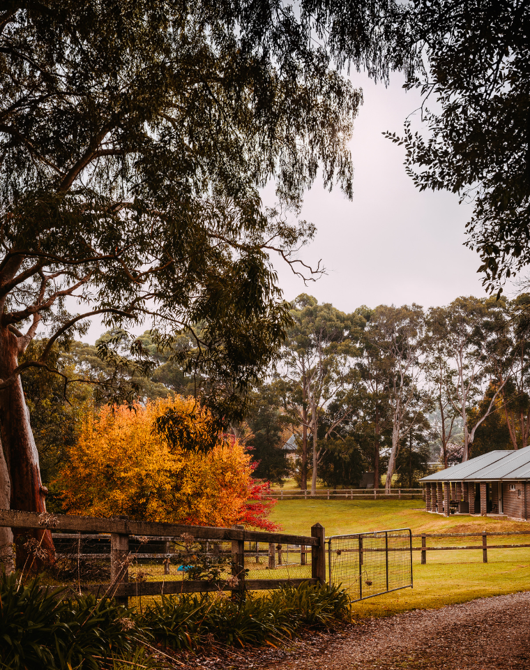 New South Wales | Rural | H1/26