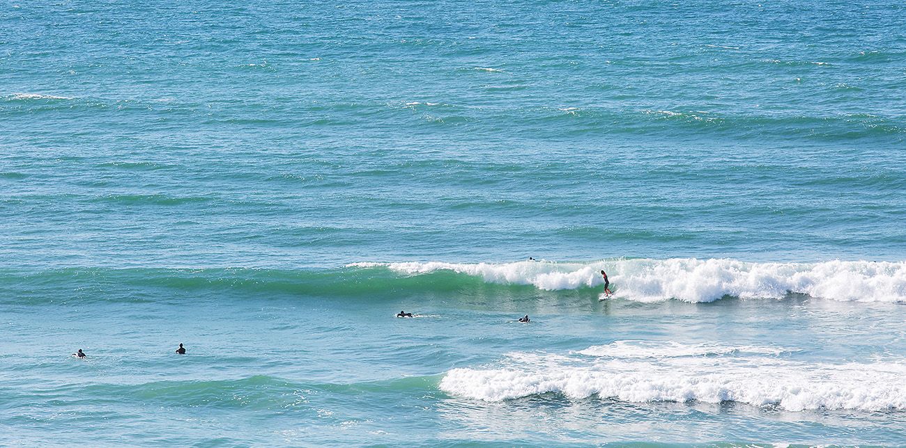 Primary photo of Palm Beach