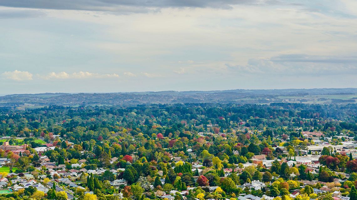 Primary photo of Southern Highlands