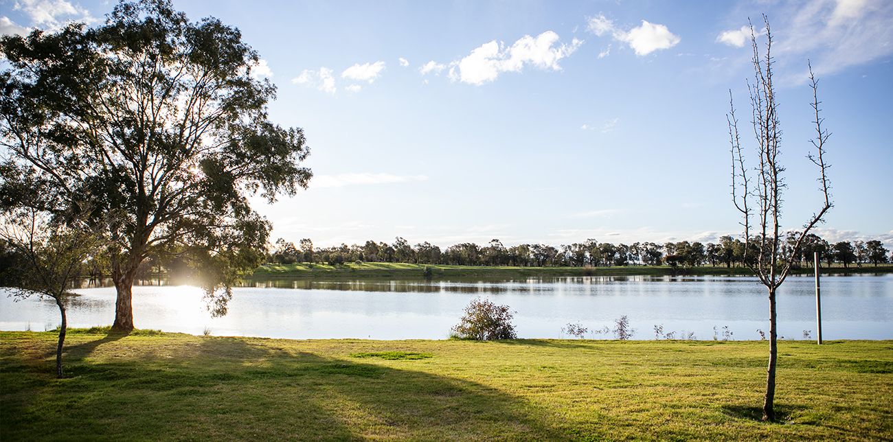Primary photo of Temora