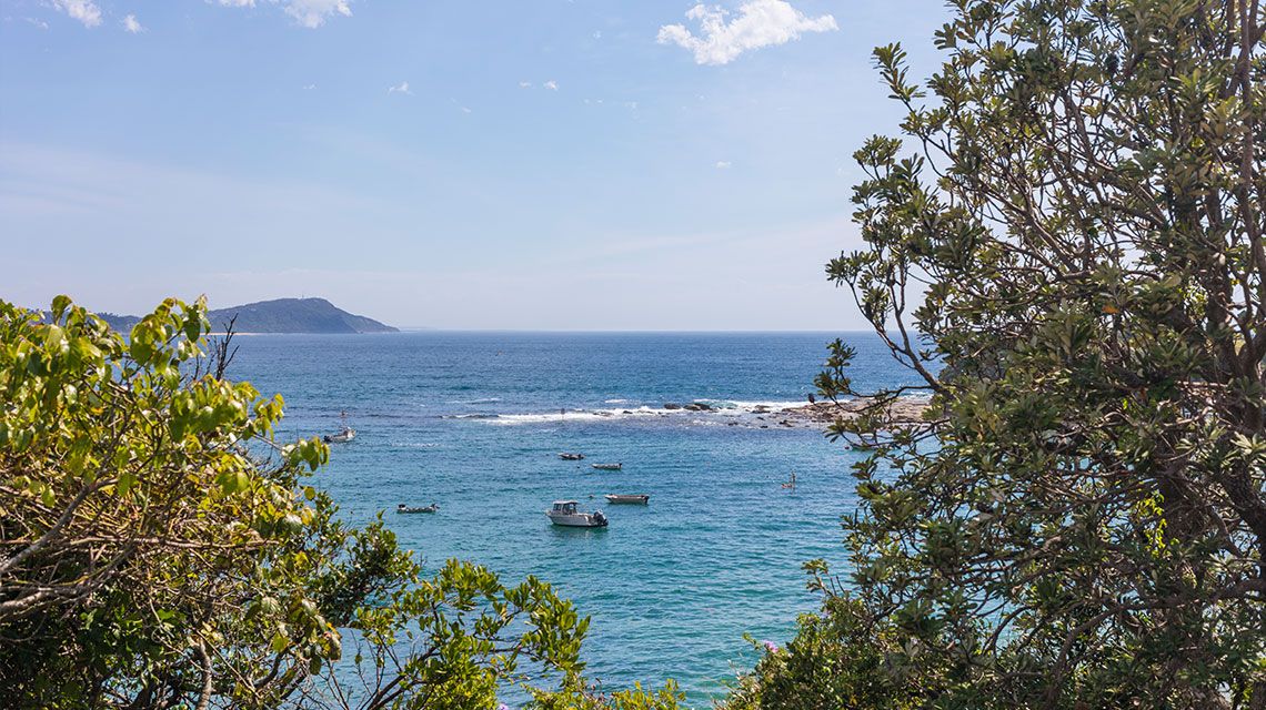 Primary photo of Terrigal